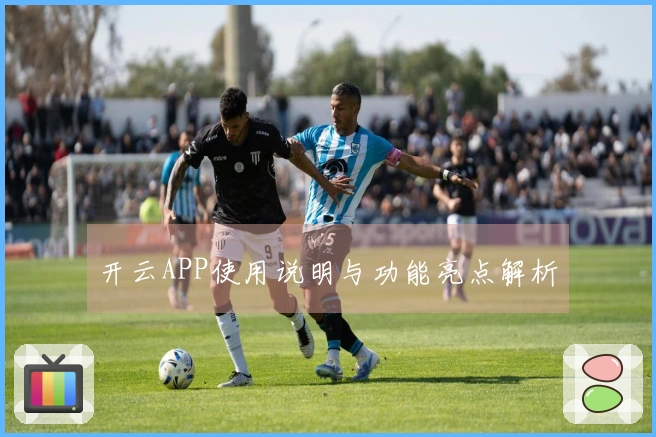 开云APP使用说明与功能亮点解析