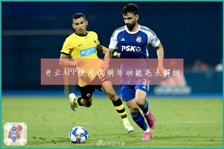 开云APP使用说明与功能亮点解析